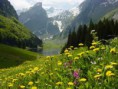 /album/galerie-foto-naturaro-/desc%c4%83rcare-jpg/